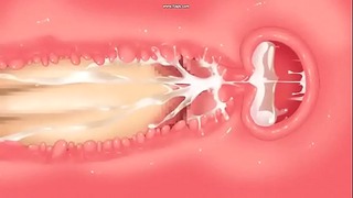 hentai internals & xrays compilation 1