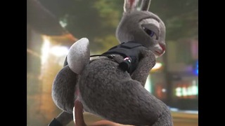 judy bunny cockrider