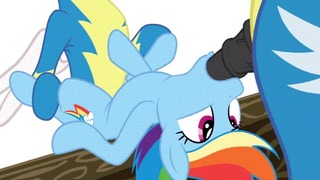 MLP Clop Gifs Compilation