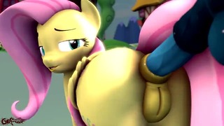 Mlp fluttershhy anal