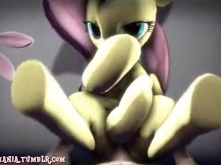 Animation Sex Pony