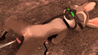 Dildo Judy