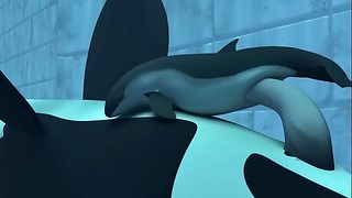 Orca yiff - тазурик №3
