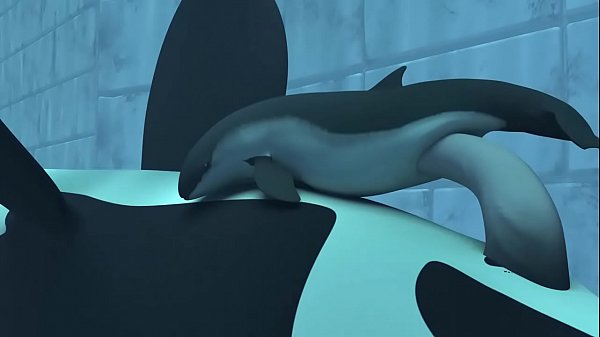 Animation Sex Elephant - Orca yiff - tasuric №3 - XAnimu.com