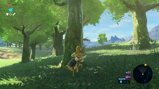 La Legend Of Zelda: Souffle des fous [03]