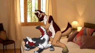 Fag Furry Sex