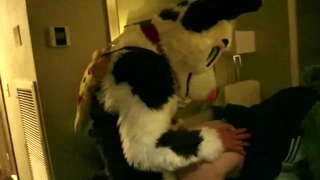 Reality Furry Sex Blfc 2018