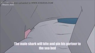 Furry Shark Porn Anime - Shark Furry Porn Sex - XAnimu.com