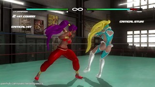Doa5: Barre de combat curvy lr - Shantae Contre Rainbow Mika