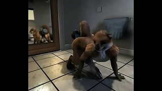 Furry Otter Fucks His Asshole With a Big Dildo