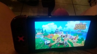 Jugando a Crossing Nintendo-switch Soloboy