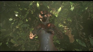 Leopard vs. Wolf hardcore FURRY vitun viidakossa