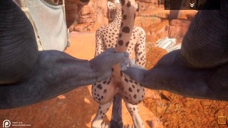 Wild Life Cheetah Girl neemt grote neushoornlul POV