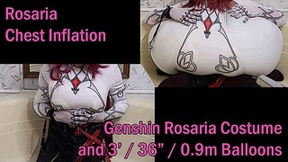 Rosaria – Garota selvagem do Genshin Impact na vida real da inflação gigante dos seios