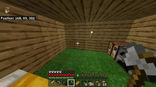 Minecraft Episodio 2: Costruire un posto