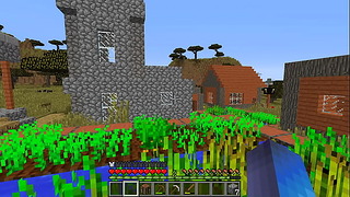 Minecraft Play: Discovered A Village and Walked Around It A Little