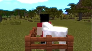 Steve Sendo Enrrabado Oleh Ovelha Ao som De Mc Gorila No Minecraft