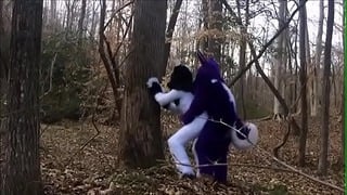 Fursuit Couple Mating in Woods