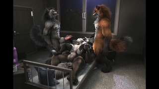 Werewolf Party Hd af H0rs3