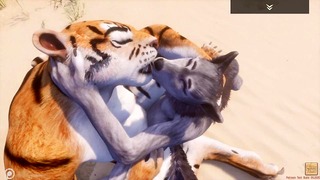 Šialený život Lesbian Furrie Porno Tiger a Wolf Babe
