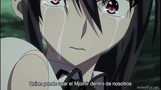 H. Dxd Born 04
