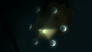 Of The D. 11