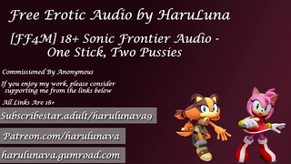 18+ Audio – One Stick, Two Pussies