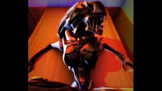 Aliens Vs Human 3