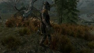 Skyrim Guard Agreed To Solve The Problem In Exchange For Sex