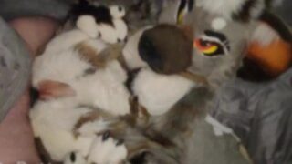 Furry Hyena Girl é fodida com força na visualização do Fursuit Onlyfans
