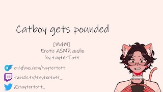 Catboy se fait pilonner M4M Yaoi Hentai érotique Asmr Version audio complète