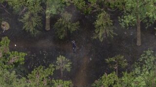 Complete Gameplay – Lust Epidemic, Part 22 Last Part