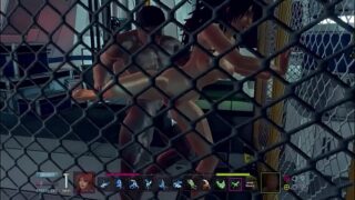 Flsm 3D Sex Game