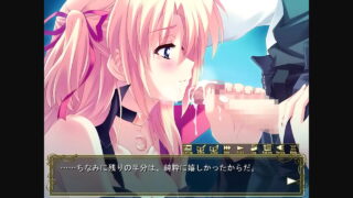 懐エロゲ マリー.3 突然 治癒の魔法が使えなくなった家出中の魔法 女が謝罪かわりにフェラを