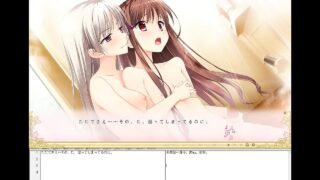 游戏视频2