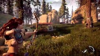 Horizon zero clothes, hunting machines but not gone wrong