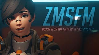 Zmsfm