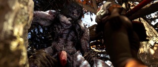 ZMSFM Ciri and Werewolf Instantloss