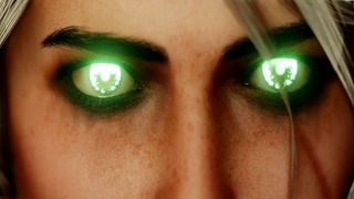 Ciri & Werewolf [Defeated][Zmsfm]