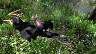 Werewolf on Wolf