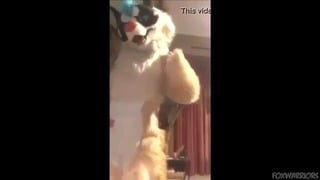 Furry Mommy Roleplay