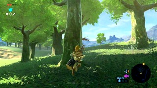 Zelda’s Wild Encounter