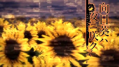 Himawari wa Yoru ni Saku – Episode 1
